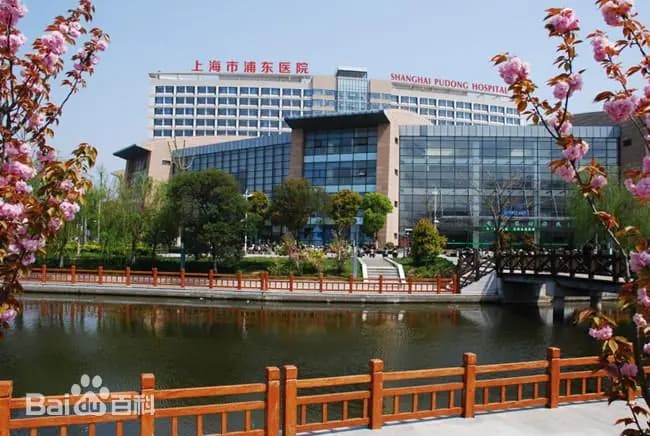 Fudan University Affiliated Pudong Hospital