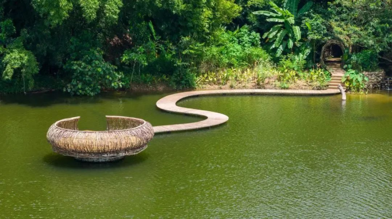 Health & Wellness Tourism
