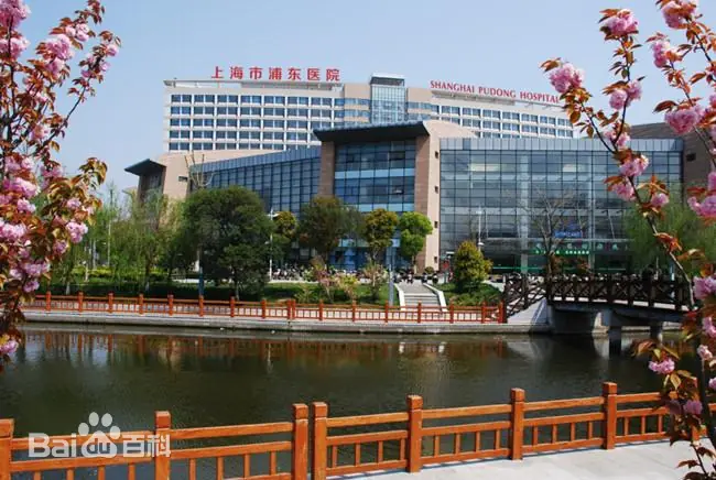 Fudan University Affiliated Pudong Hospital